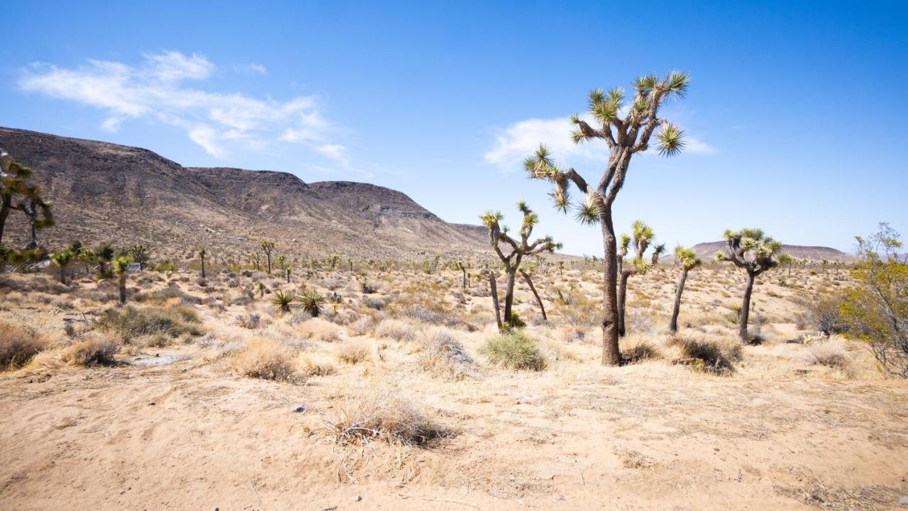 Wind Hill Hotel Yucca Valley Exterior photo